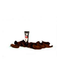 Arter Brown Paint Art Gel je pigmentiran gel rjave barve v tubi za tanke linije, risanje na nohte