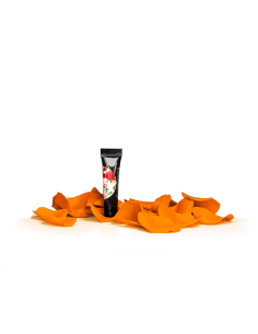 Arter Pumpkin Orange Paint Art Gel je pigmentiran gel oranžne barve v tubi za tanke linije, risanje na nohte