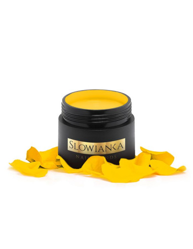 Arter Yellow Paint Art Gel (v lončku)